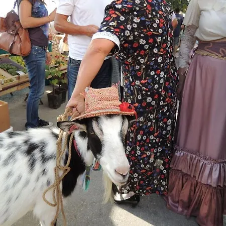 Rosemary Comfortable Holiday Porec